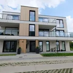 Rent 1 bedroom apartment in Dendermonde