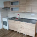 Rent 1 bedroom house in Frýdek - Místek