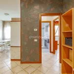 Rent 2 bedroom apartment of 57 m² in Santo Stefano Lodigiano