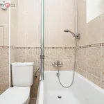 Rent 3 bedroom apartment of 51 m² in Praha