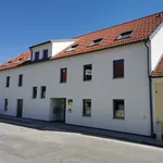 Rent 3 bedroom apartment of 76 m² in Ottenthal