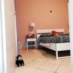 Rent 3 bedroom apartment of 65 m² in La Spezia