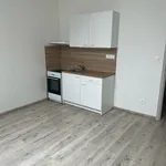 Pronájem bytu 1+kk 32m²