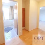 Rent 1 bedroom apartment in Capital City of Prague