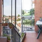 Rent 1 bedroom apartment in Turin