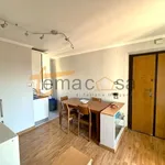 Rent 2 bedroom apartment of 54 m² in Roma