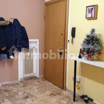 Rent 3 bedroom apartment of 65 m² in Padua