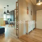 Rent 3 bedroom apartment of 110 m² in Turin