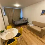 Pronajměte si 1 ložnic/e byt o rozloze 29 m² v Prague