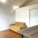 Rent 2 bedroom apartment of 50 m² in Torino