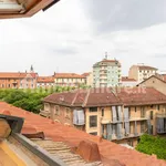 Rent 2 bedroom apartment of 44 m² in Turin