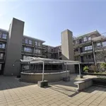 Rent 2 bedroom apartment of 77 m² in Valkenswaard