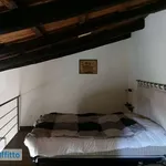 Rent 3 bedroom apartment of 75 m² in Palermo