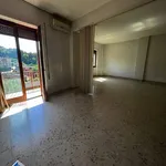 Affitto 13 camera appartamento di 500 m² in Frosinone