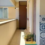 Rent 2 bedroom apartment of 70 m² in Terracina