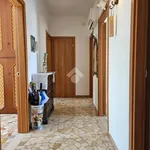 Rent 5 bedroom apartment of 110 m² in Ferrara