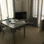 Penthouse viale Nazario Sauro, Abissinia, Riccione