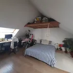 Rent 2 bedroom apartment in Leuven