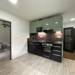 Rent 1 bedroom apartment in Karlovy Vary