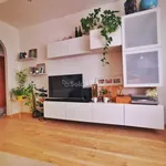 Rent 3 bedroom apartment of 60 m² in Trieste