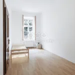 Pronajměte si 3 ložnic/e byt o rozloze 87 m² v Pilsen