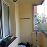 Rent 3 bedroom apartment in Ostrava