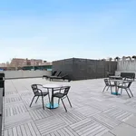 Rent 1 bedroom apartment in New York City