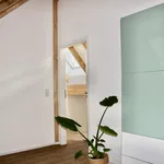 Miete 2 Schlafzimmer wohnung von 100 m² in Neuss