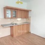 Rent 1 bedroom apartment in Teplice