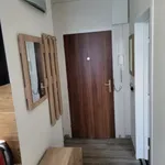 Rent 1 bedroom apartment in Brno