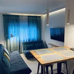 Rent 1 bedroom apartment of 60 m² in madrid