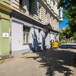 Rent 1 bedroom apartment of 36 m² in berlin