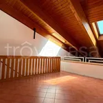 Rent 2 bedroom apartment of 50 m² in Bologna