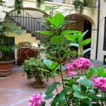 Rent 1 bedroom apartment of 33 m² in Cremona