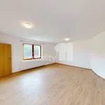 Rent 2 bedroom apartment of 39 m² in Světlá nad Sázavou