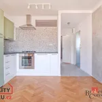 Rent 3 bedroom apartment in České Budějovice