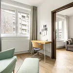 Rent 2 bedroom apartment in Praha 5