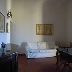 Rent 3 bedroom apartment of 110 m² in Firenze