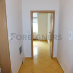 Rent 1 bedroom apartment of 48 m² in Pilsen