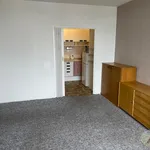 Pronajměte si 2 ložnic/e byt o rozloze 42 m² v Prague