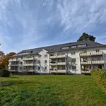 Rent 2 bedroom apartment of 54 m² in Chemnitz