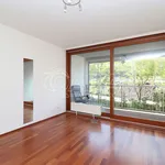 Rent 3 bedroom apartment in Capital City of Prague