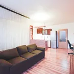 Rent 1 bedroom apartment in Brno