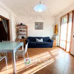 Rent 3 bedroom apartment of 65 m² in Pisa