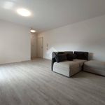 1-bedroom flat via G Cesare 26, Due Ponti, Carpi