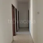 Rent 3 bedroom apartment of 90 m² in Triggiano