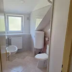 Rent 1 bedroom apartment in Zlín