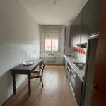 Rent 3 bedroom apartment of 124 m² in Bologna