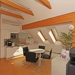 Miete 3 Schlafzimmer wohnung von 160 m² in Graz