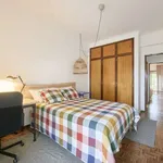 Rent a room in lisbon